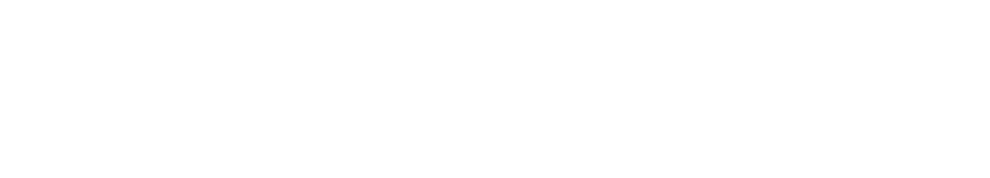 ScaleMoodleLMS